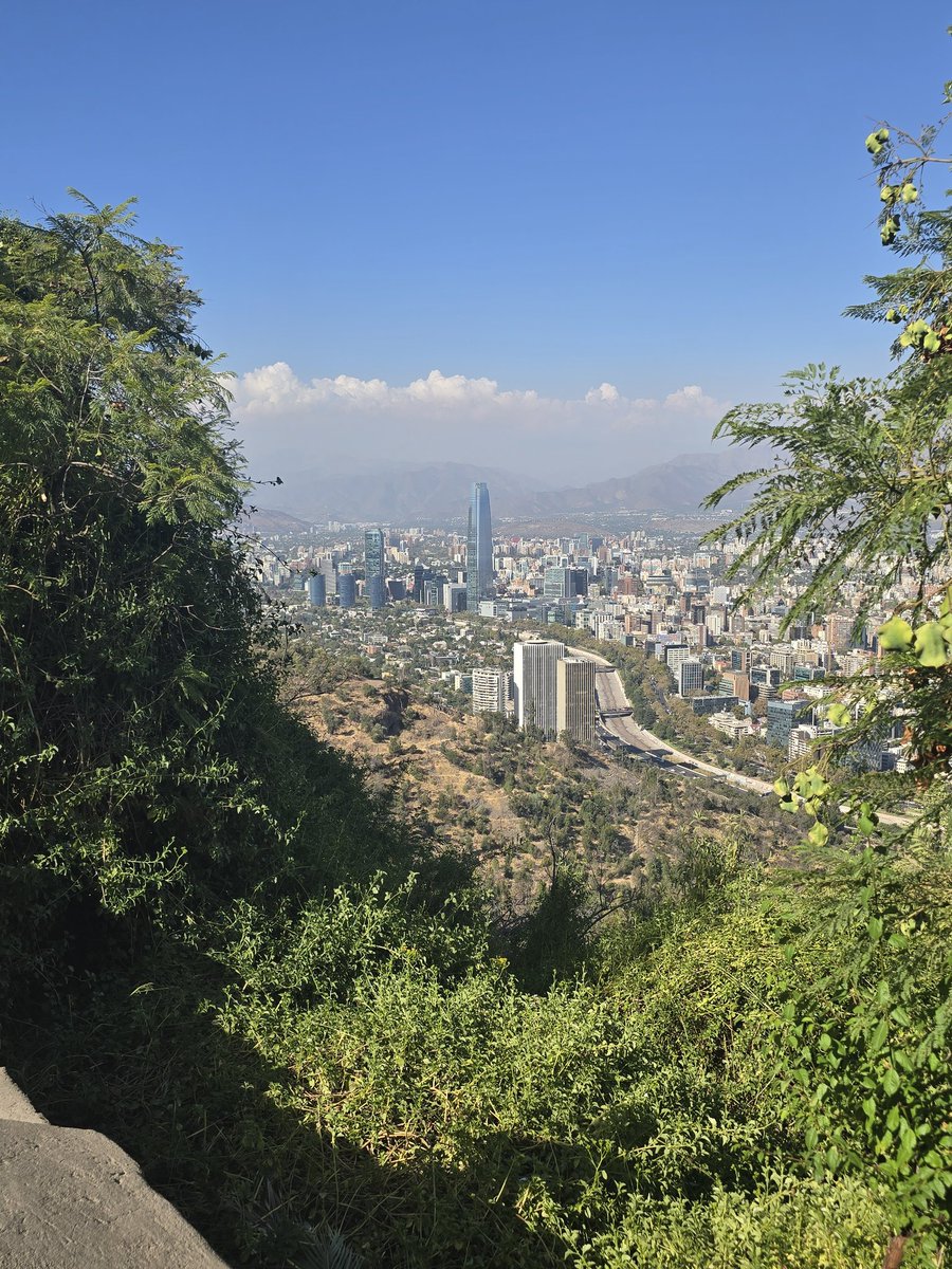 Clinton 'Paperthin' Bader tweet media