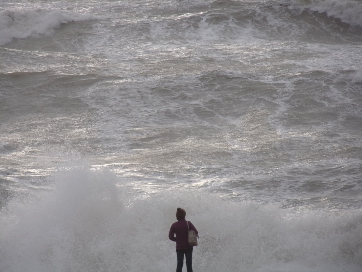 Jackie Pearce tweet media