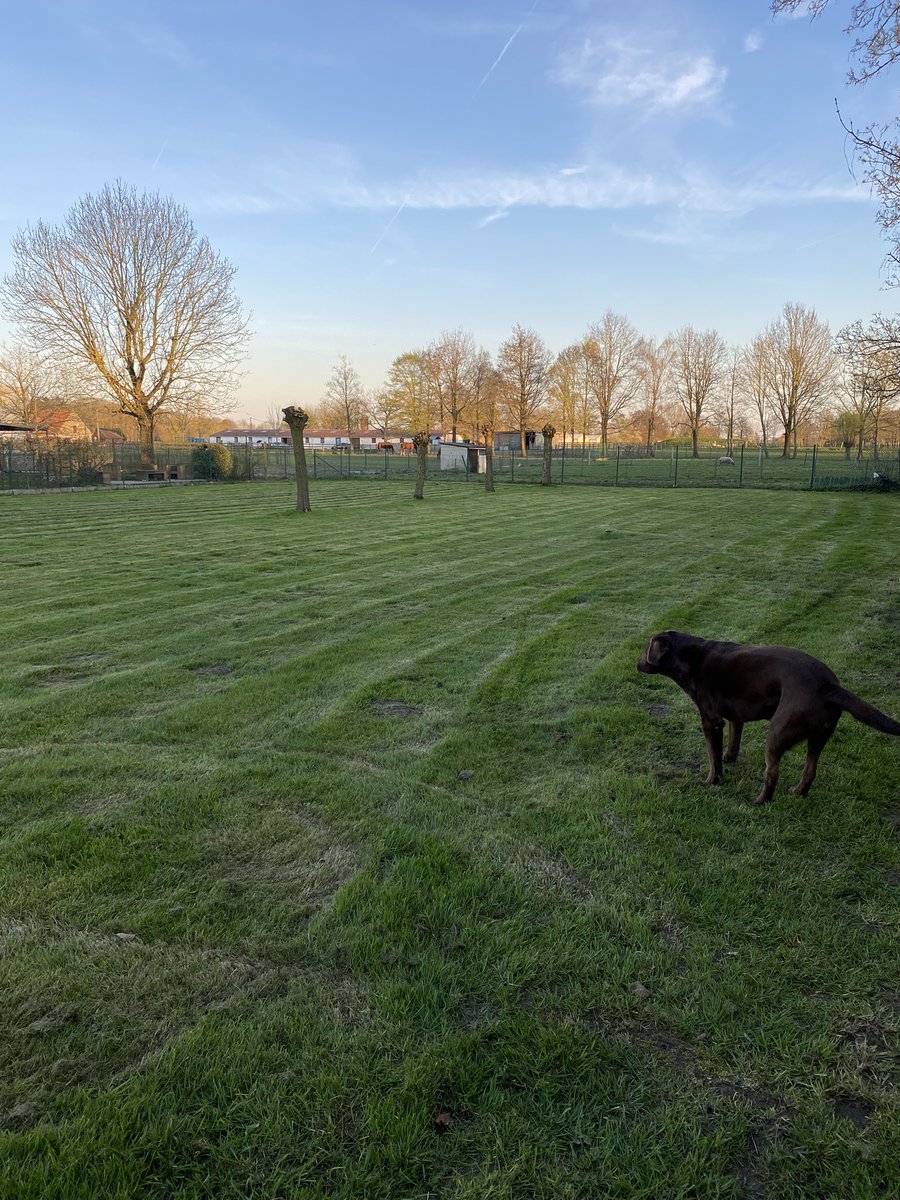 Ward Markey tweet media