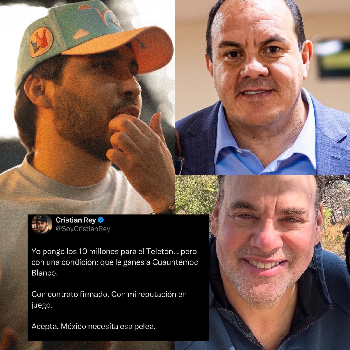 Cerebros tweet media