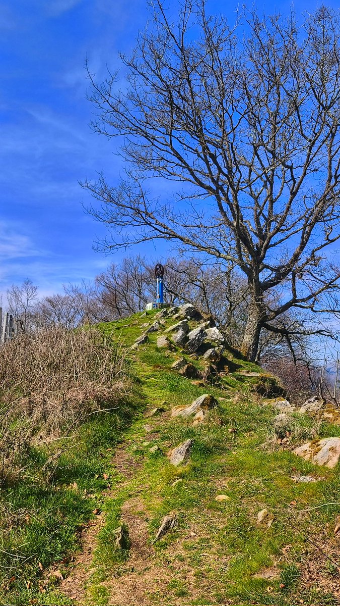 Mikel EA2CW / AE2CW tweet media