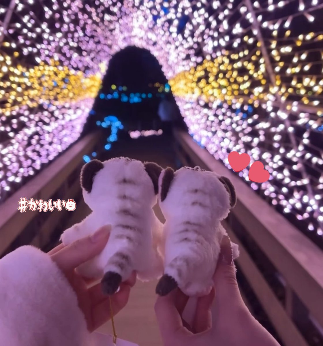 l4033l's tweet photo. セラピーゲーム聖地巡礼at東武公 ⟡.·
念願ティガシGETした🤍
このやで＆ティガシ＆はるショットほまにかわいい♡  ̫♡ ﾒﾛﾒﾛ https://t.co/HDN9ReYGWM