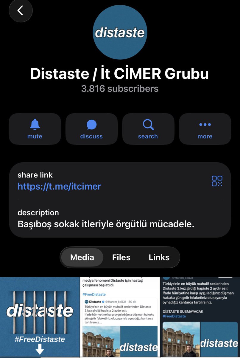 Zülâl Kalkandelen Ⓥ 🐑 tweet media