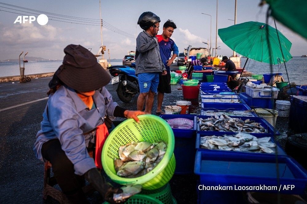 AFP News Agency tweet media