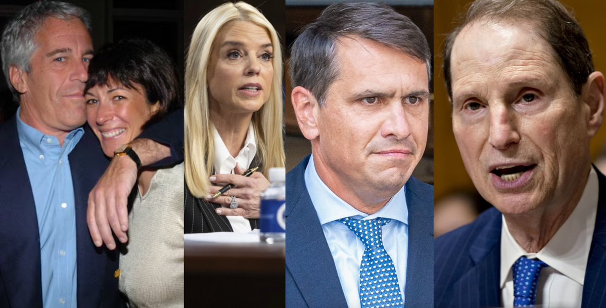 Occupy Democrats tweet media