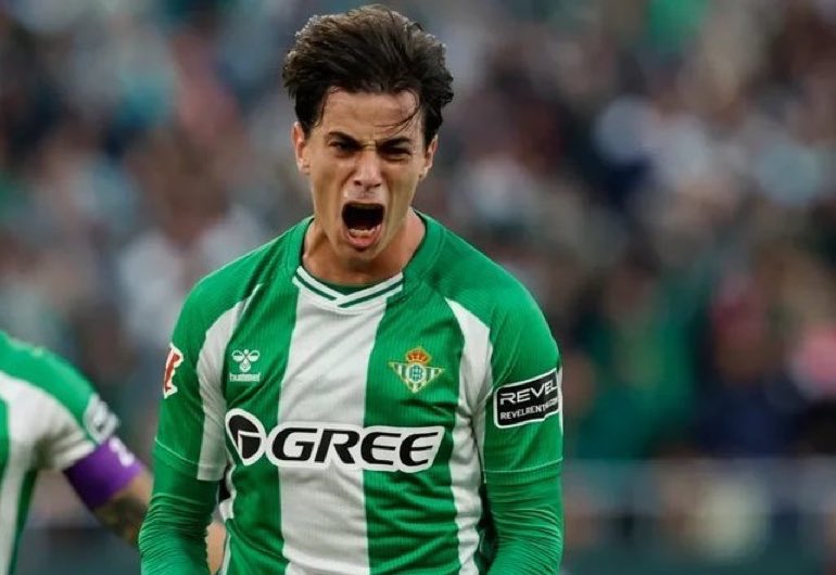 gomezneta tweet media