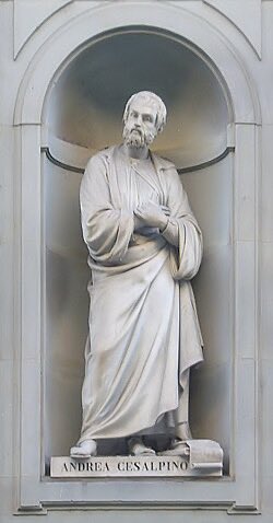 lavantposte_fr's tweet photo. « Il fallait mettre au jour les opinions du premier des philosophes, cachées pour le plus grand dommage de l’humanité, […] Aristote, Prince des Péripatéticiens.  »

(#Césalpin, Questions péripatéticiennes, Préface) #Citation https://t.co/WzYTysDk16