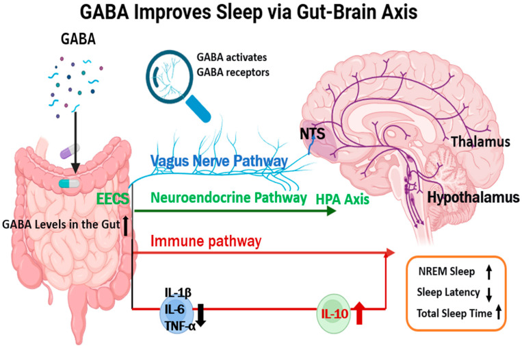 Sosa | Mental Strategist tweet media