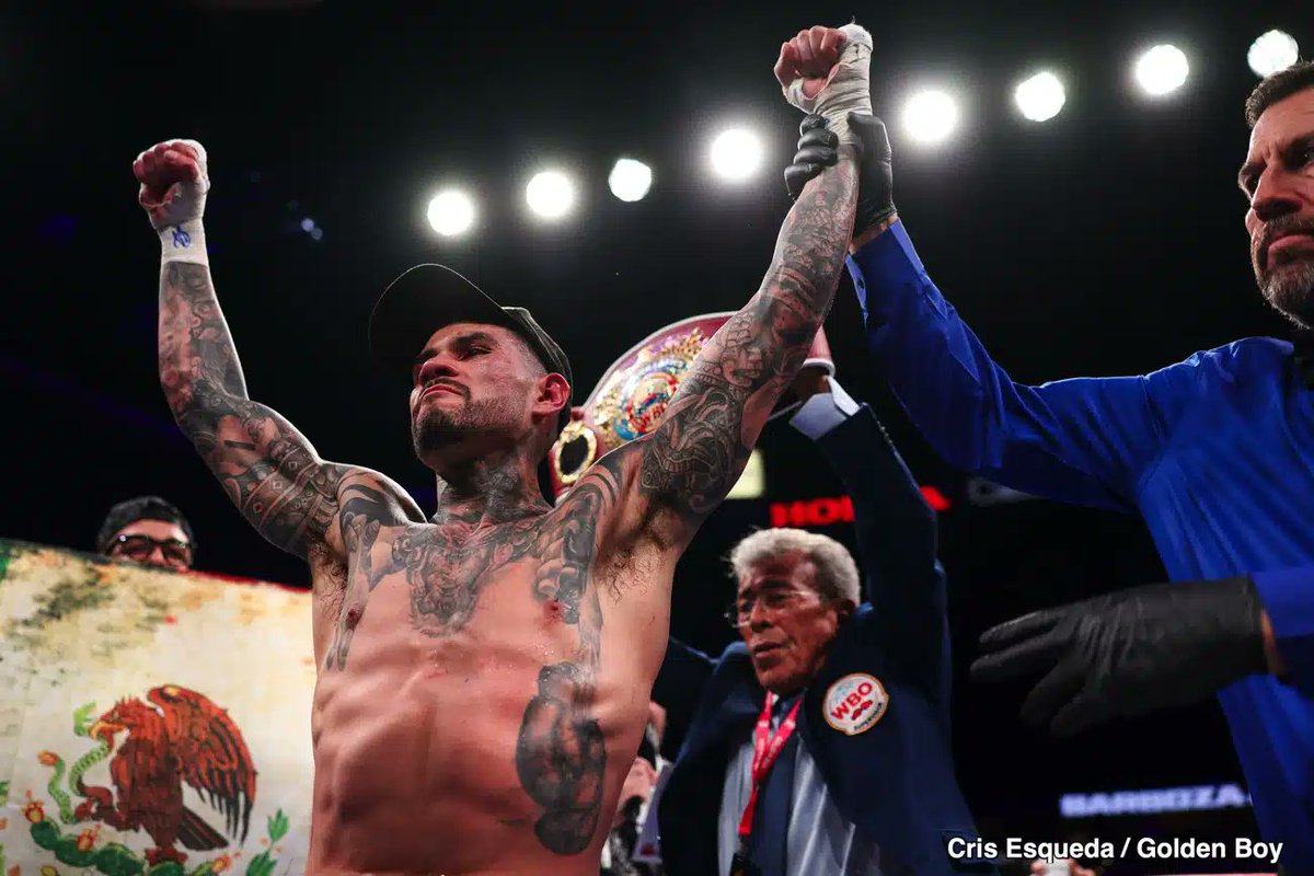 Boxing Studs Noticias tweet media