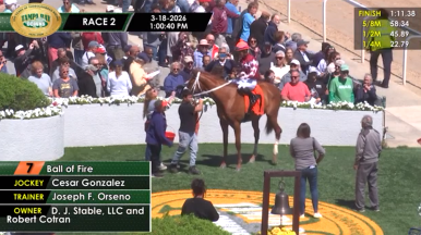 WinningAngle tweet media