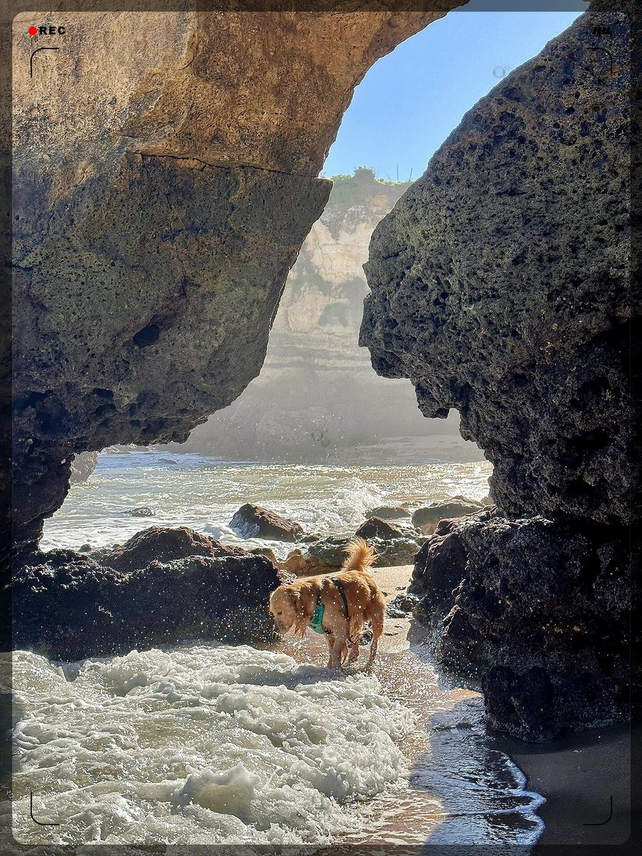 Benjamin Timmermann tweet media