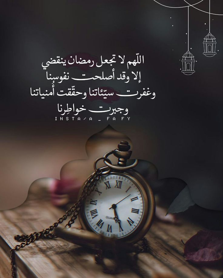 #ظليل..🇸🇦💚 tweet media