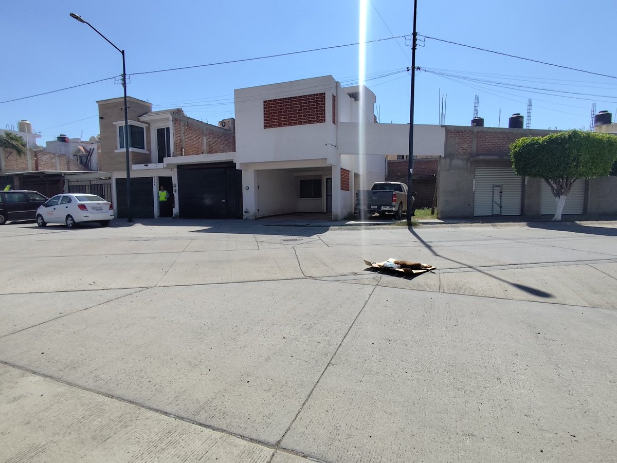 Iguanomayor tweet media