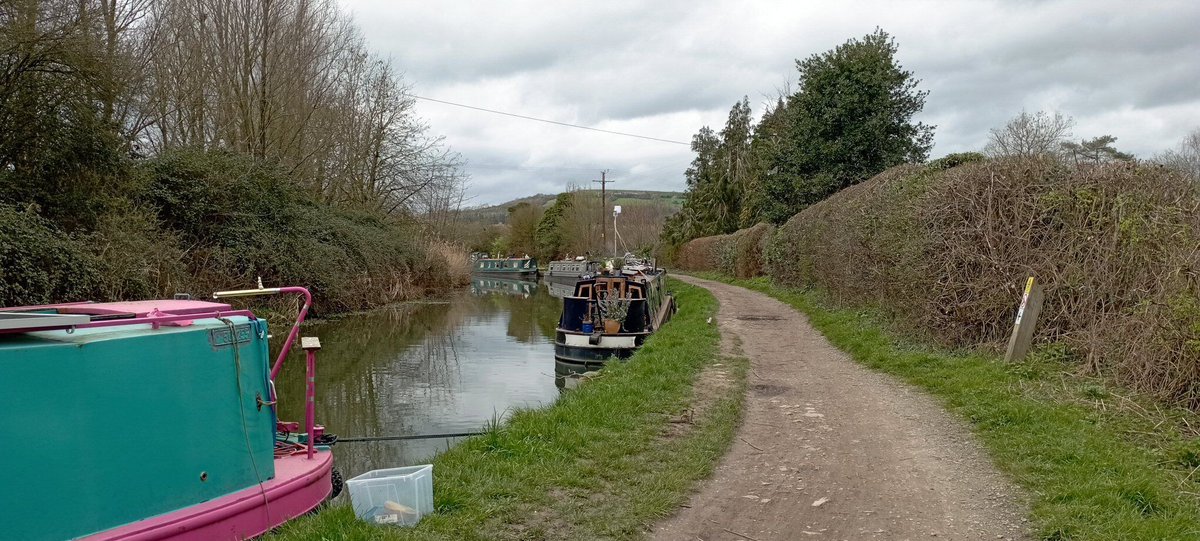 Neil Pellinacci tweet media