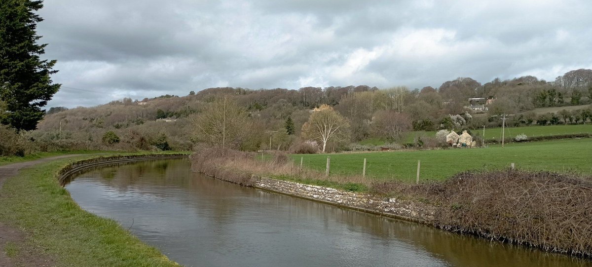 Neil Pellinacci tweet media