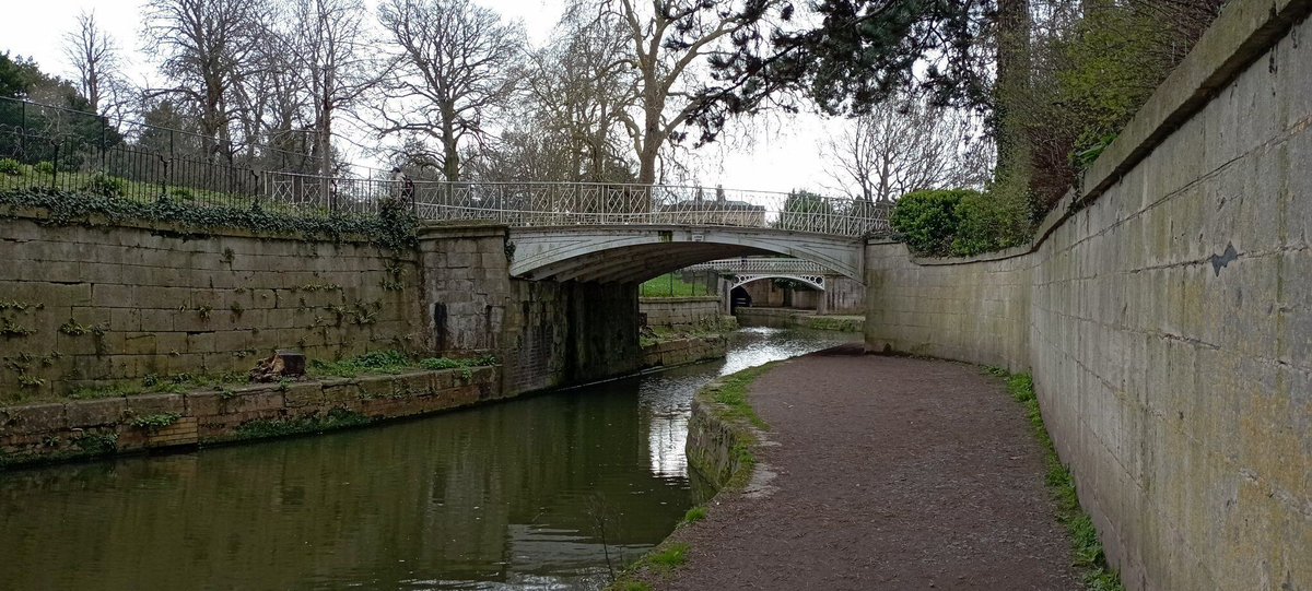 Neil Pellinacci tweet media