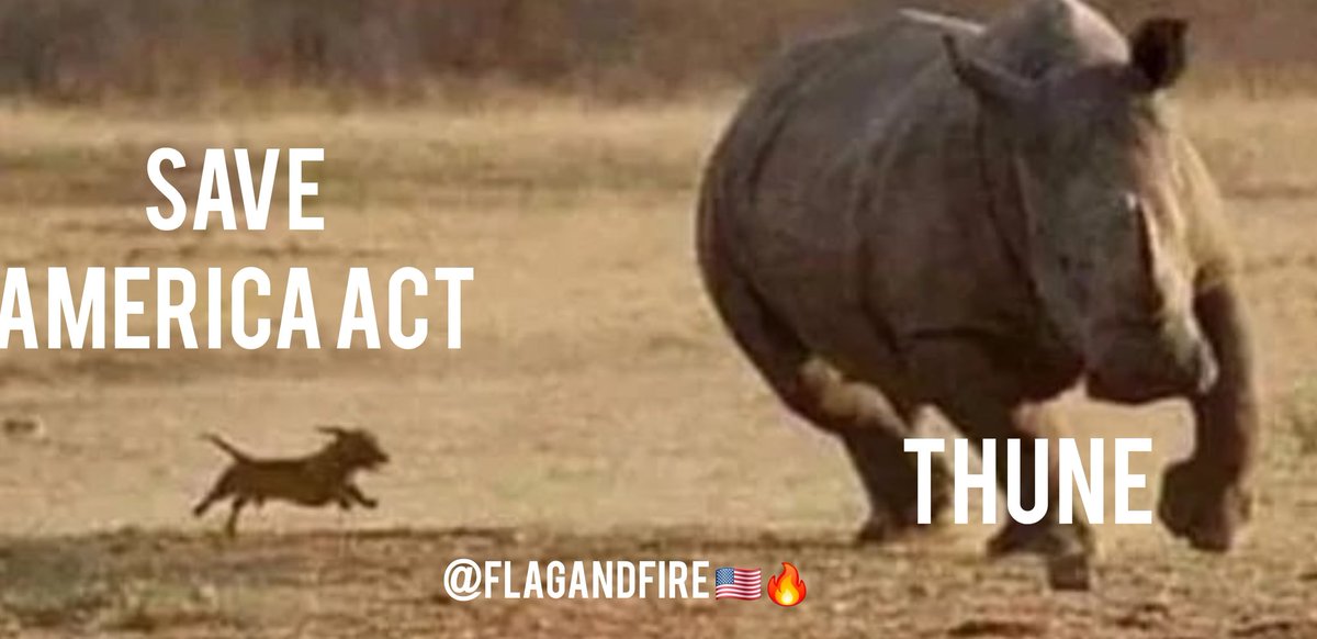 A Great American! 🇺🇸 & 🔥 tweet media