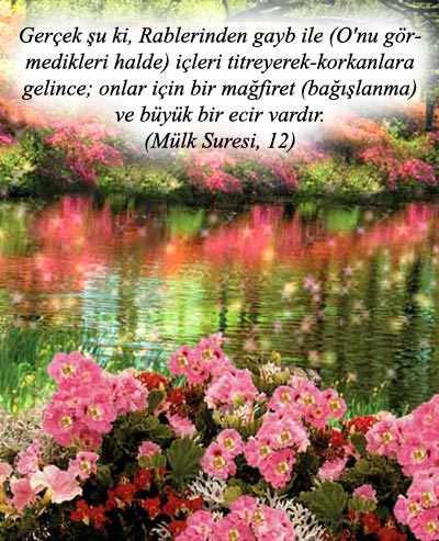 <a href="/GazaNews571/">Haber Gazze</a>