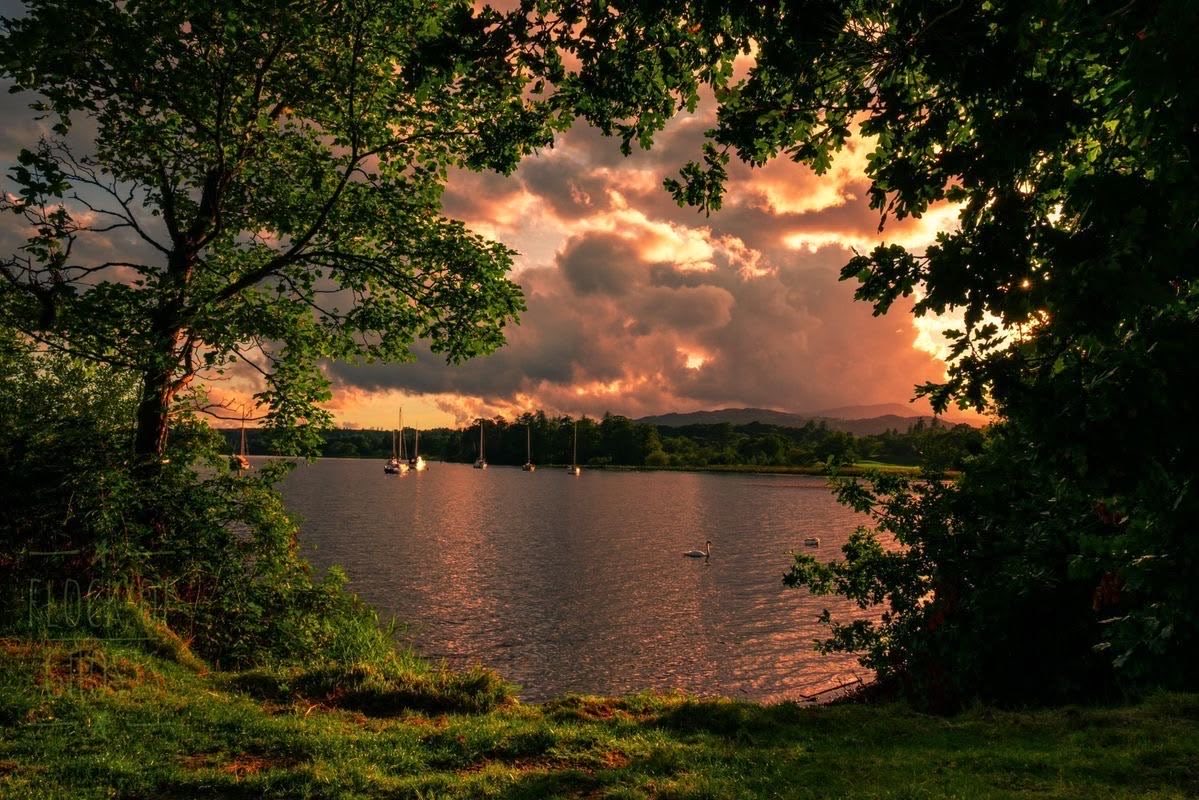 Lily ✮⋆˙ tweet media