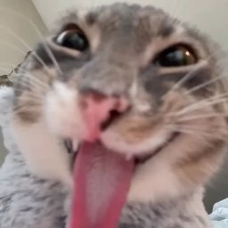 😜