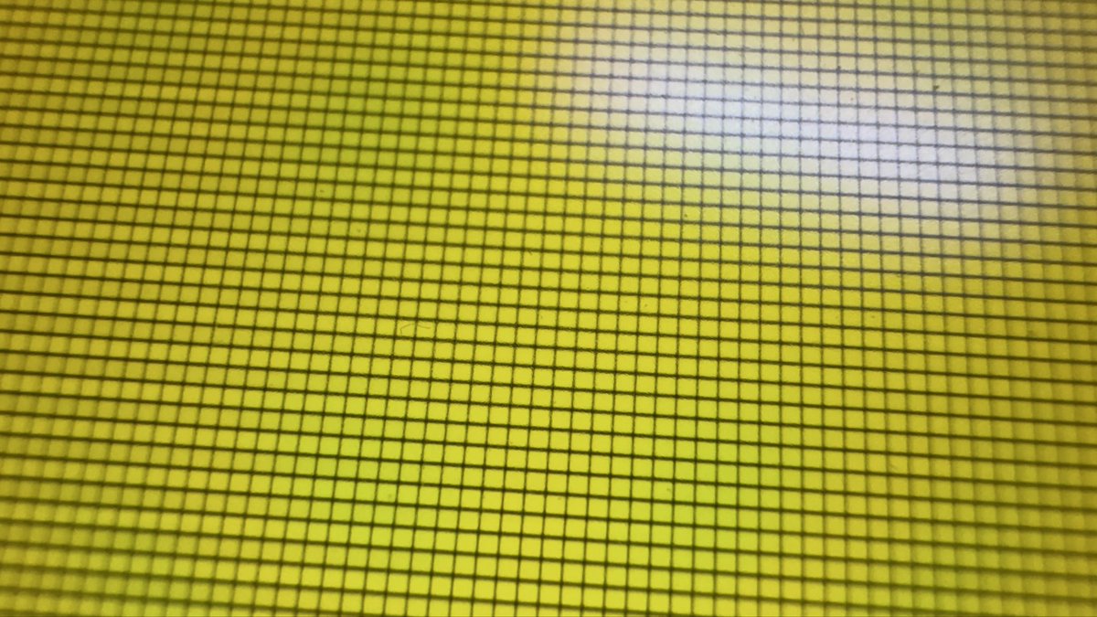 IAMLIUBO tweet media