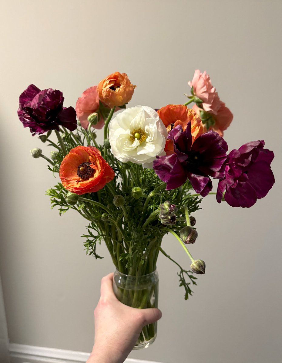 Sarah Osment tweet media