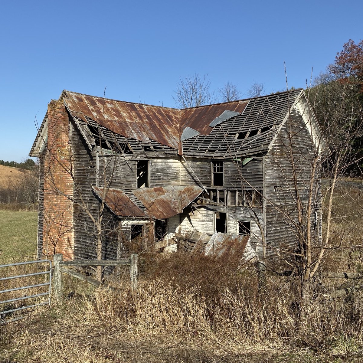 Diary of Abandonment tweet media