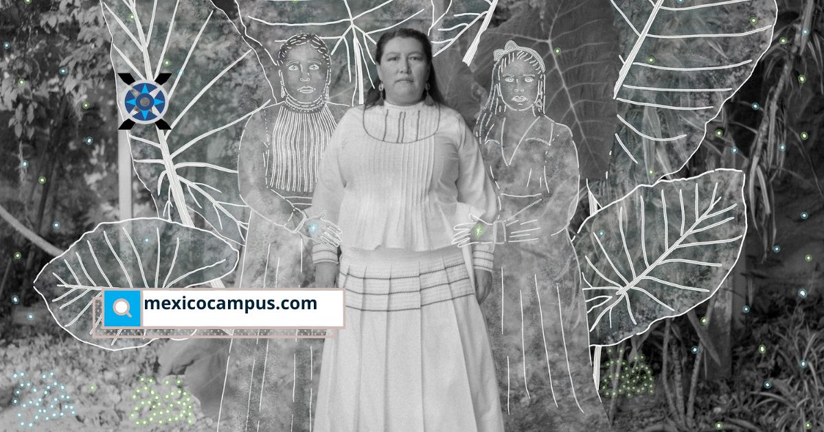 México destaca en los Sony World Photography Awards 2026, Citlali Fabiian y Livier Ultreras  colocan la mirada mexicana entre lo mejor de Latinoamérica con obras que hablan de identidad y territorio.
Descúbrelas en mexicocampus.com/dos-fotografas…
#Fotografía #México #Arte