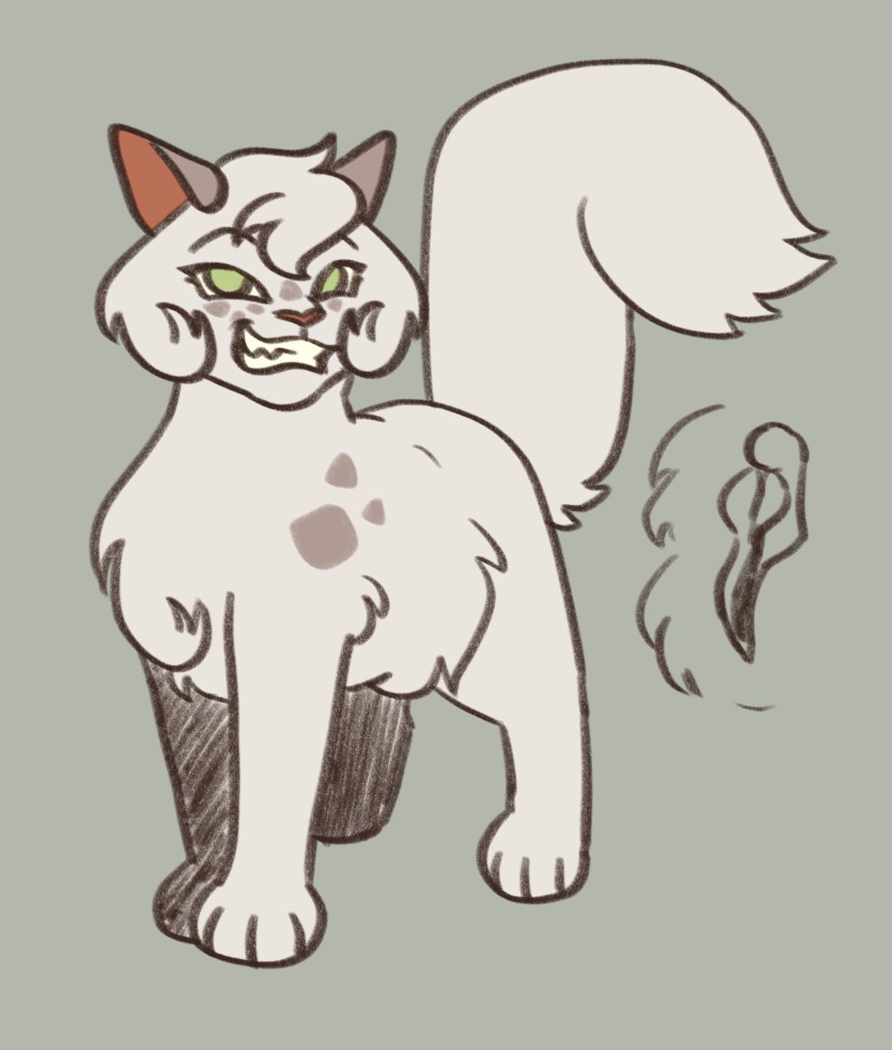 Kitty 🔞☁️ tweet media