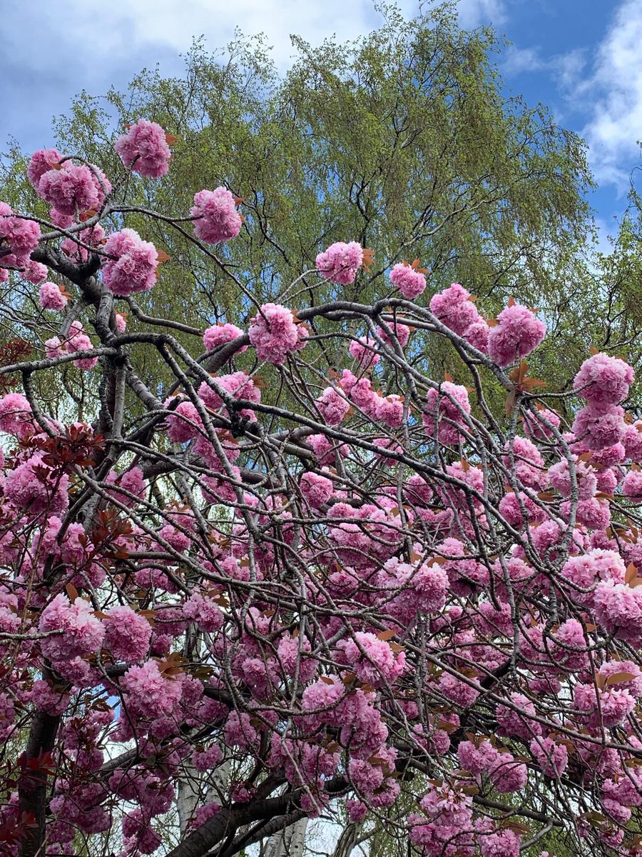 What Good News tweet media