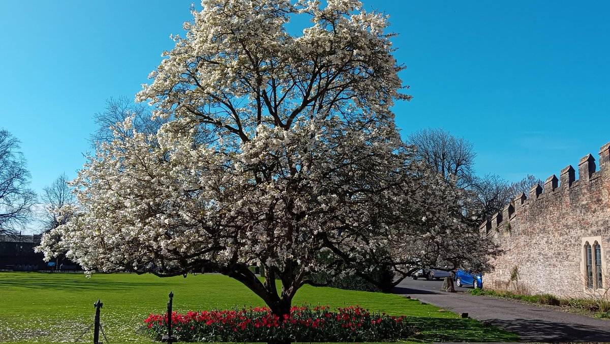 Dr. Sanjee Perera tweet media