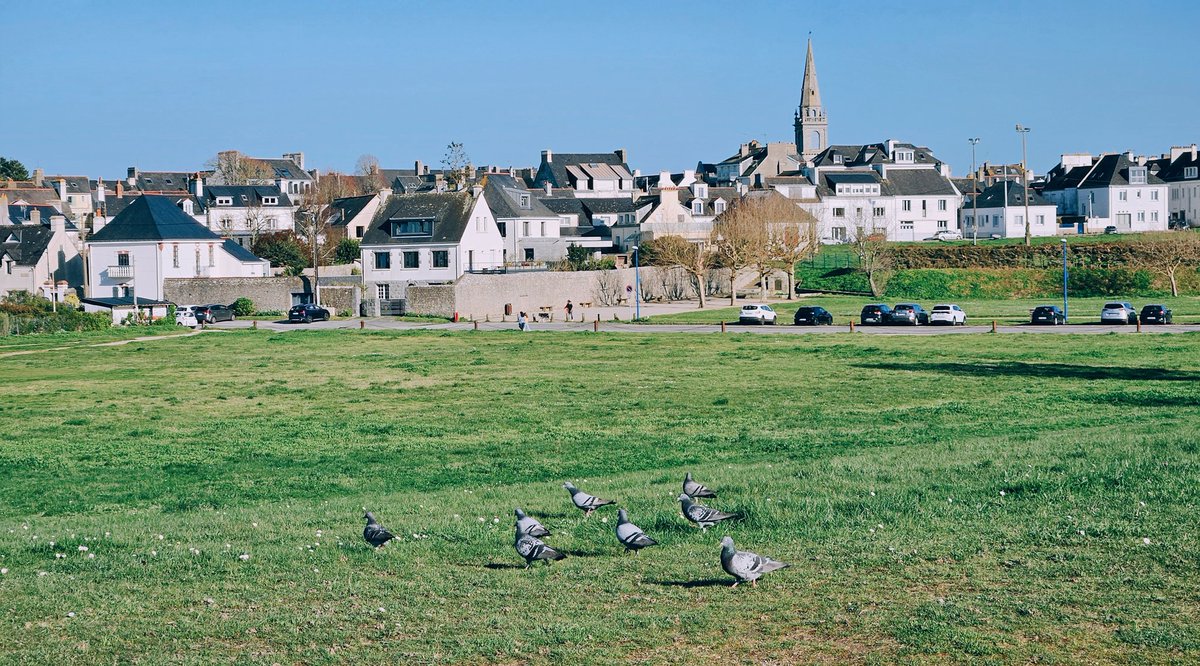 Erwan Courseaux tweet media