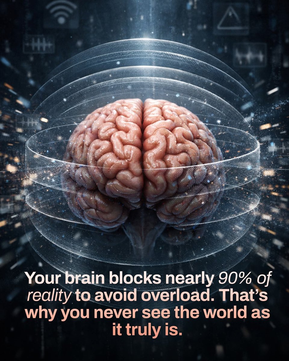 Night Sky Now tweet media