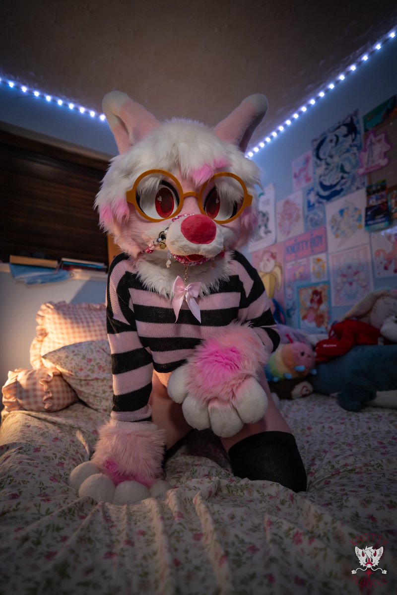 Opal🐾 🦈 tweet media