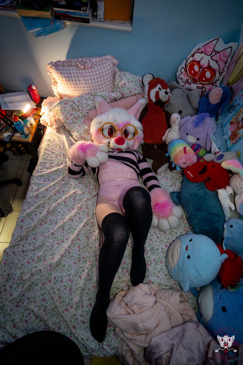 Opal🐾 🦈 tweet media