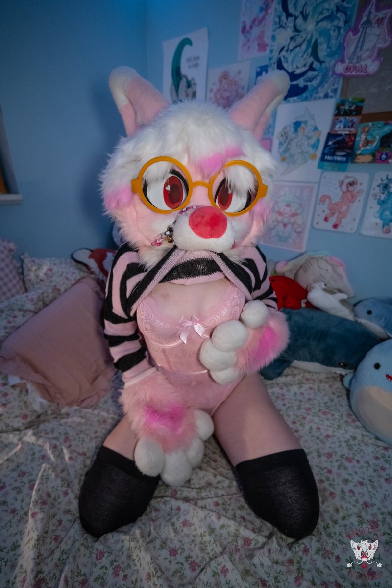 Opal🐾 🦈 tweet media