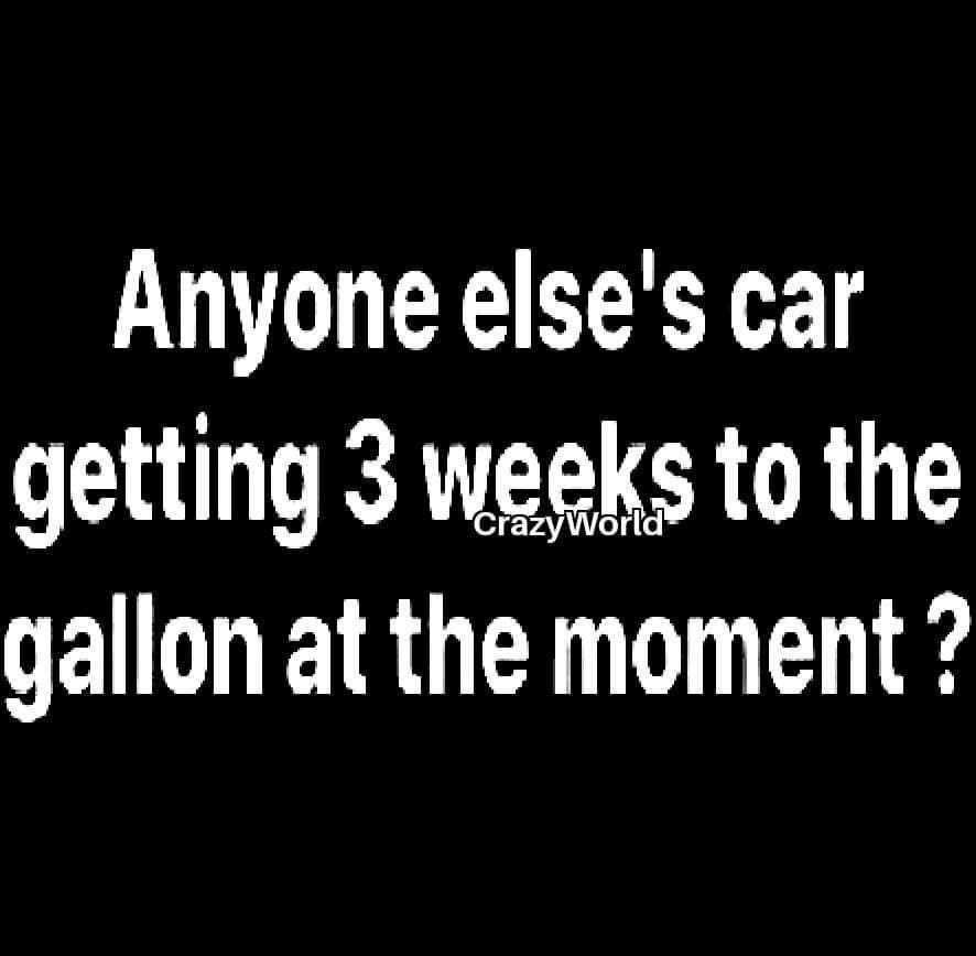 Lori Bauer🇨🇦🏒🥅🔥 tweet media