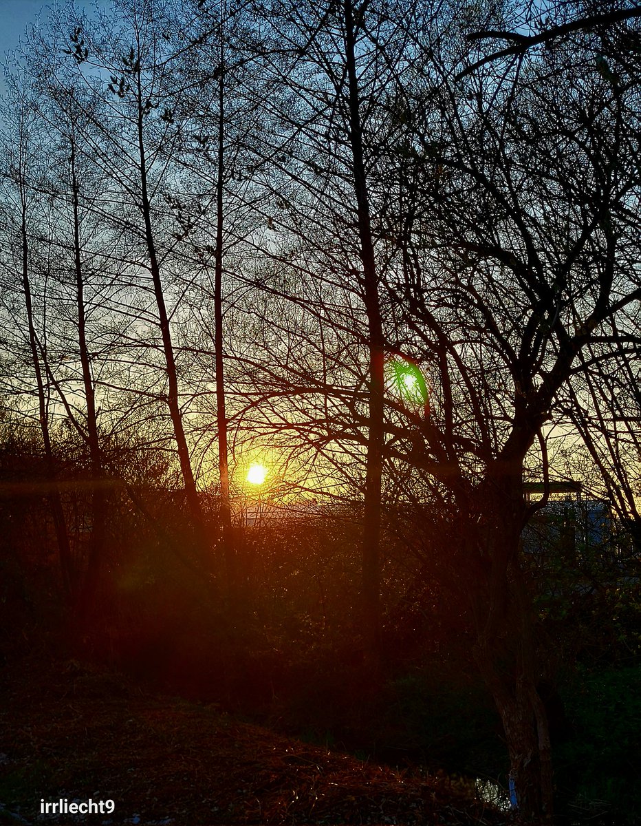 NitramSu tweet media