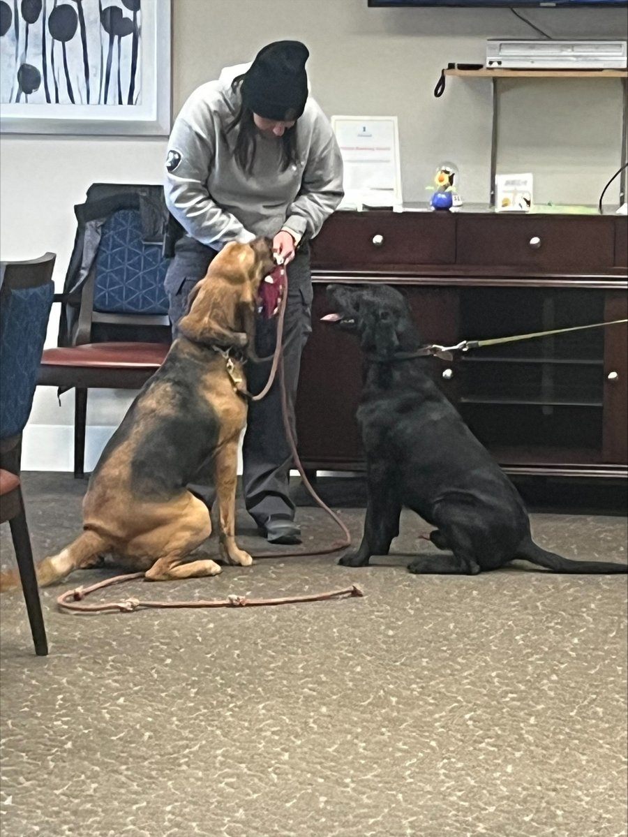 Cook County Sheriff's Office tweet media