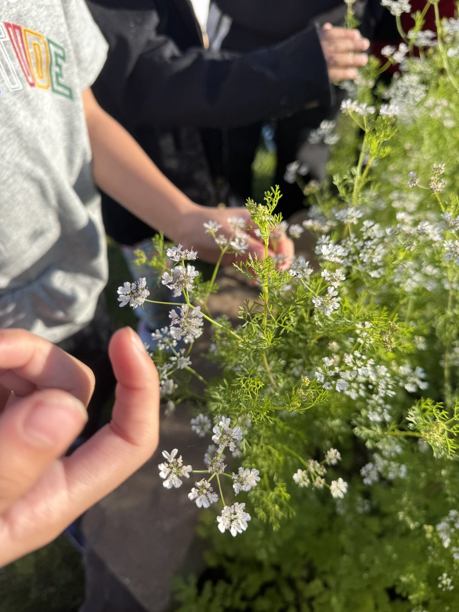 Maria Paoli-Vega tweet media