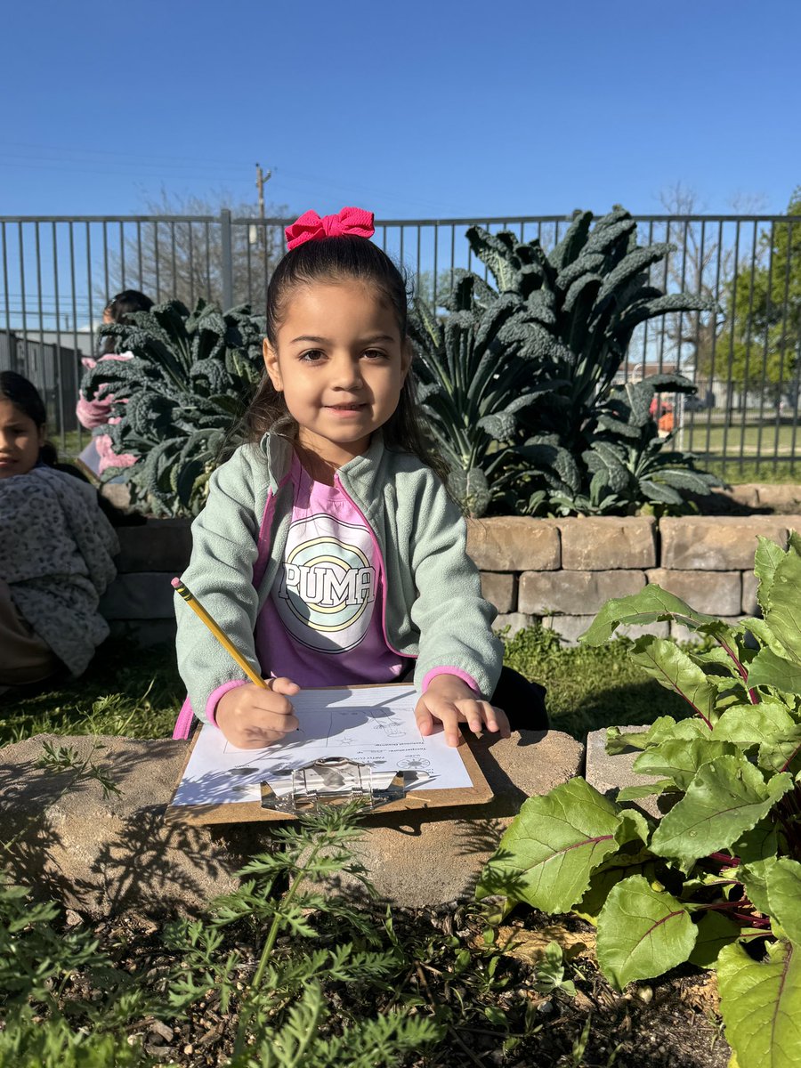 Maria Paoli-Vega tweet media