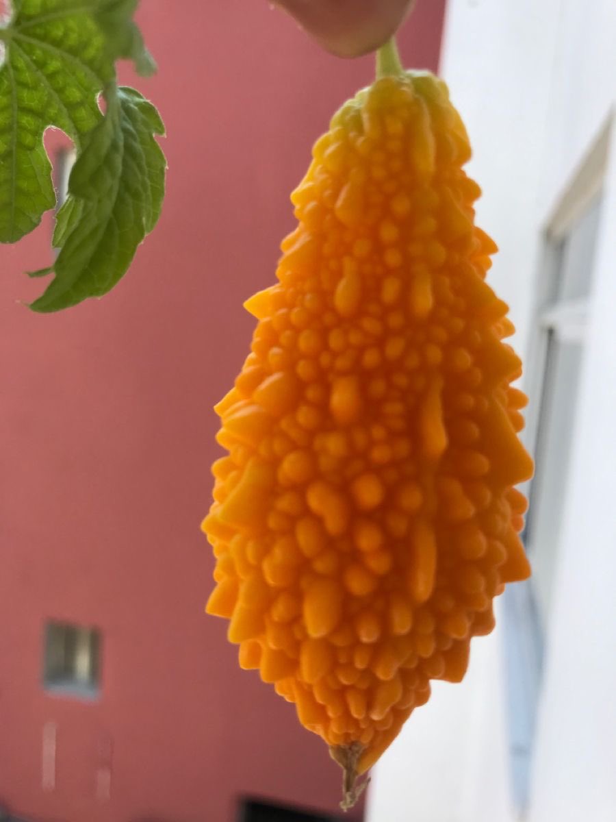 yağmur su 💧 tweet media