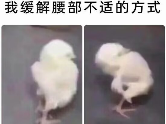 早露泡泡兔（四代目）寻回推油中 tweet media