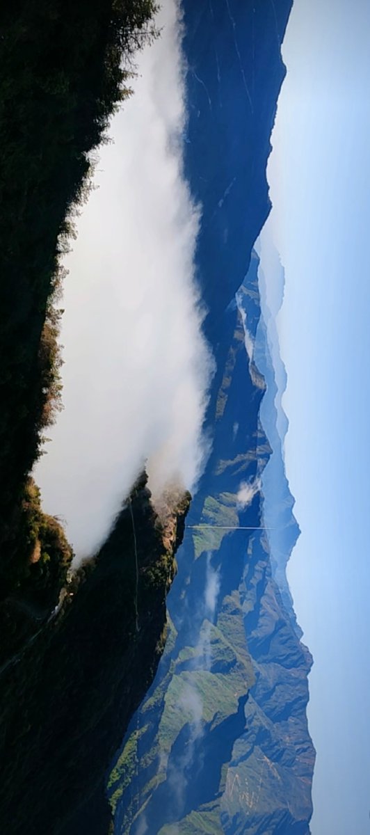 Anne Ferrie tweet media