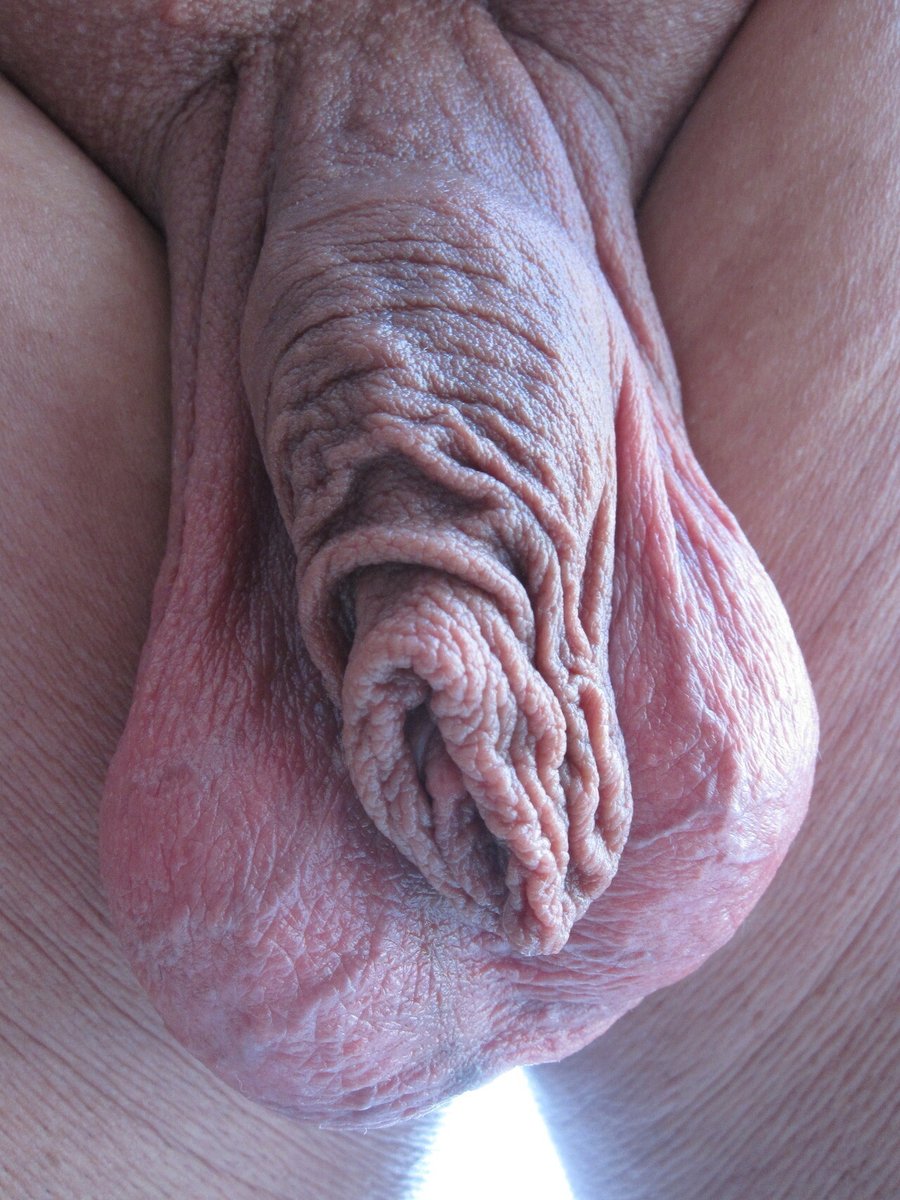 transscrotal's tweet photo. https://t.co/X9Ix3H9BB8