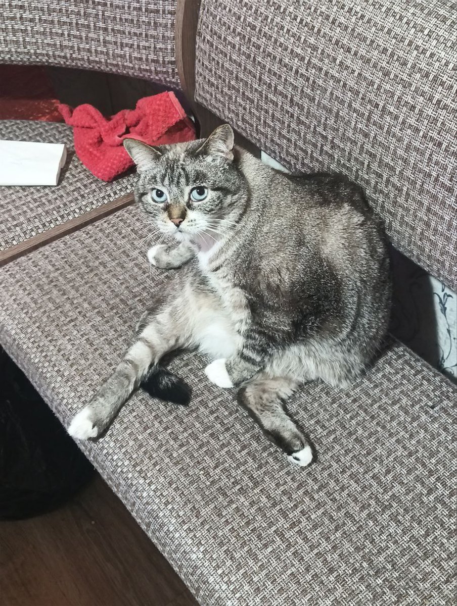 Sergej Ryzhenko tweet media