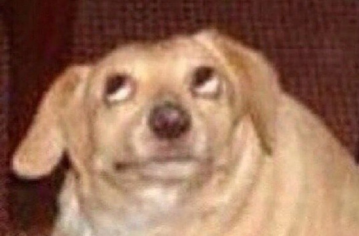 𝓡𝓾𝓼𝓼𝓲𝓪𝓷 𝓝𝓲𝓪 tweet media