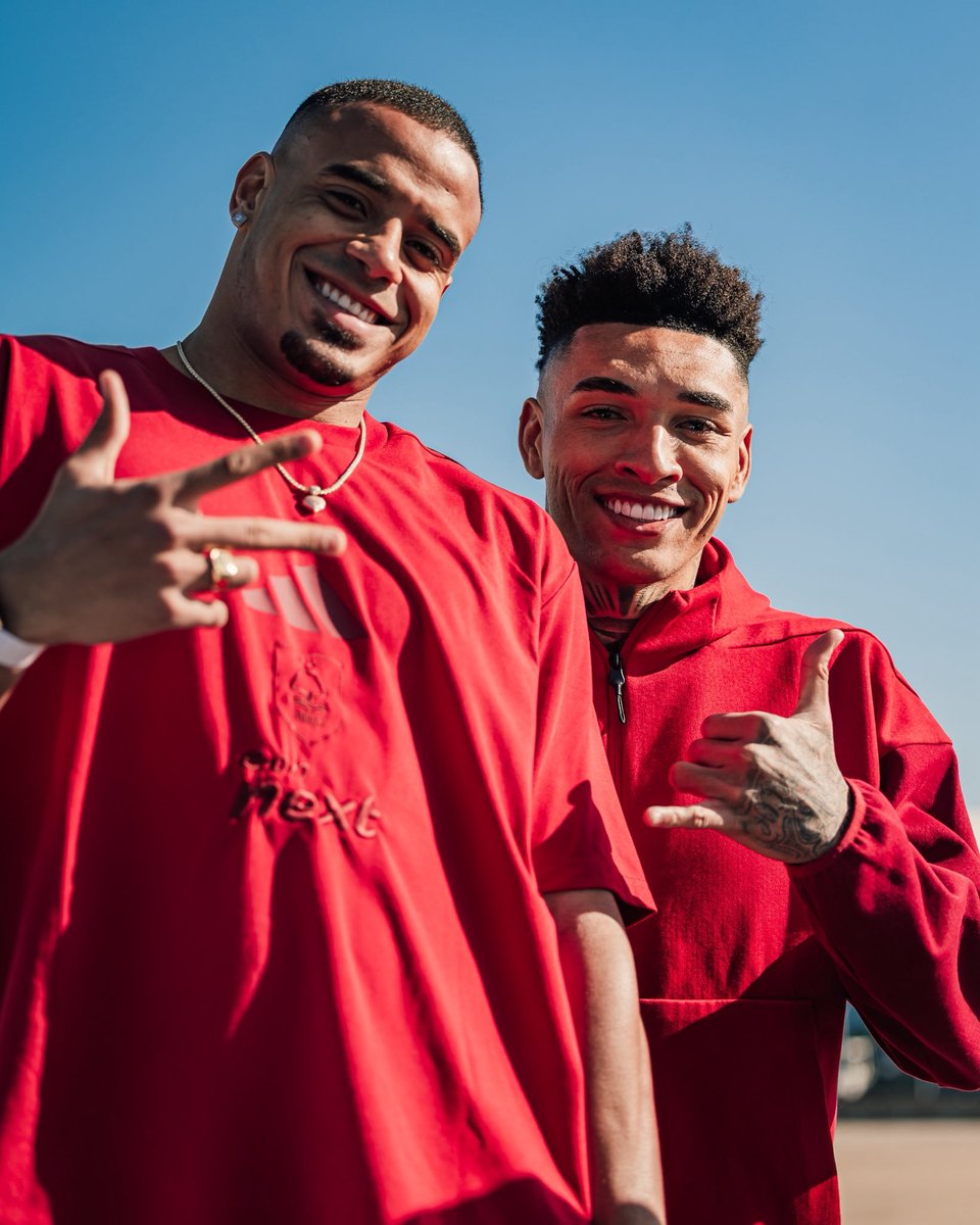 Forest France 🇫🇷🌳 tweet media