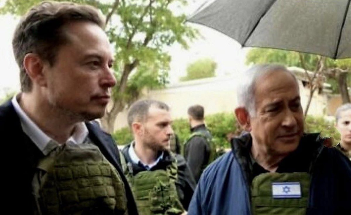 Dana Weinstein tweet media