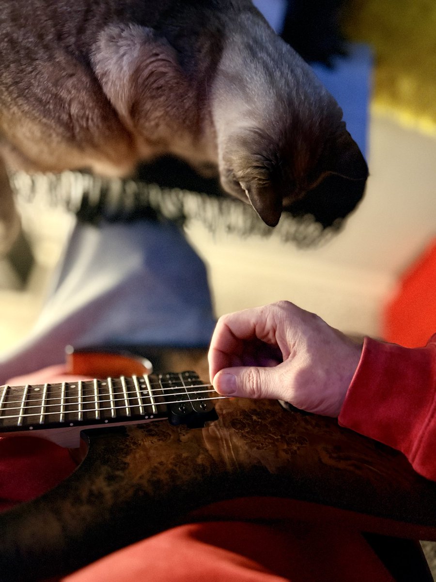 Jimmy Donn tweet media